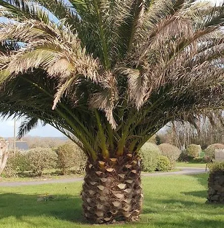 Сasa de vacaciones Le Petit Coin De Paradis