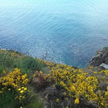 Le Petit Coin De Paradis * Roscanvel